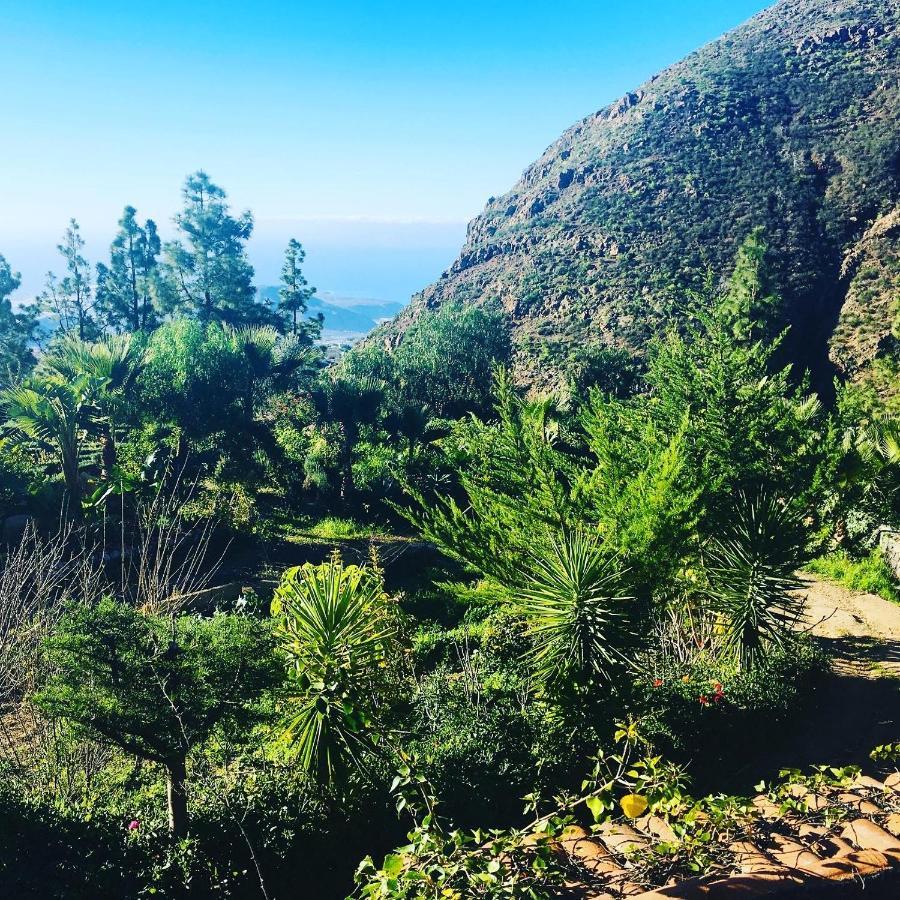 Tenerife Nature Retreat Ifonche Exterior foto
