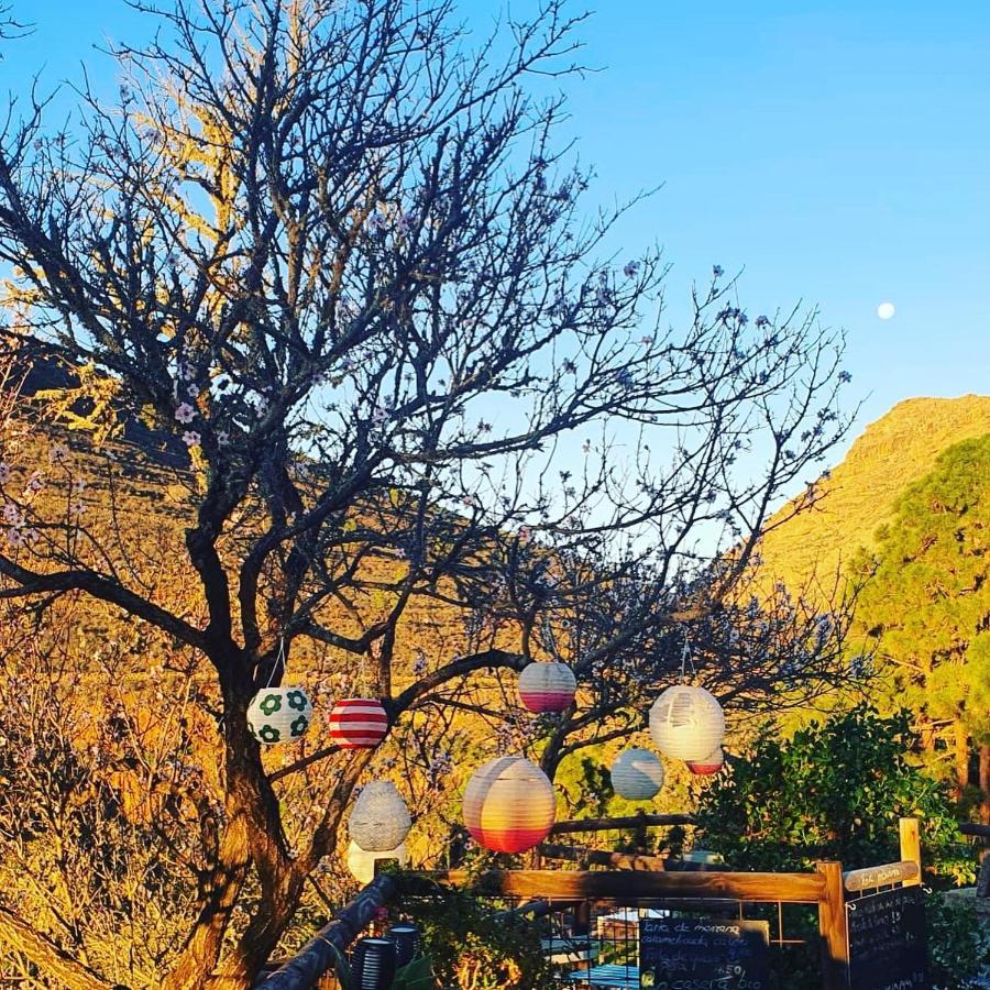 Tenerife Nature Retreat Ifonche Exterior foto