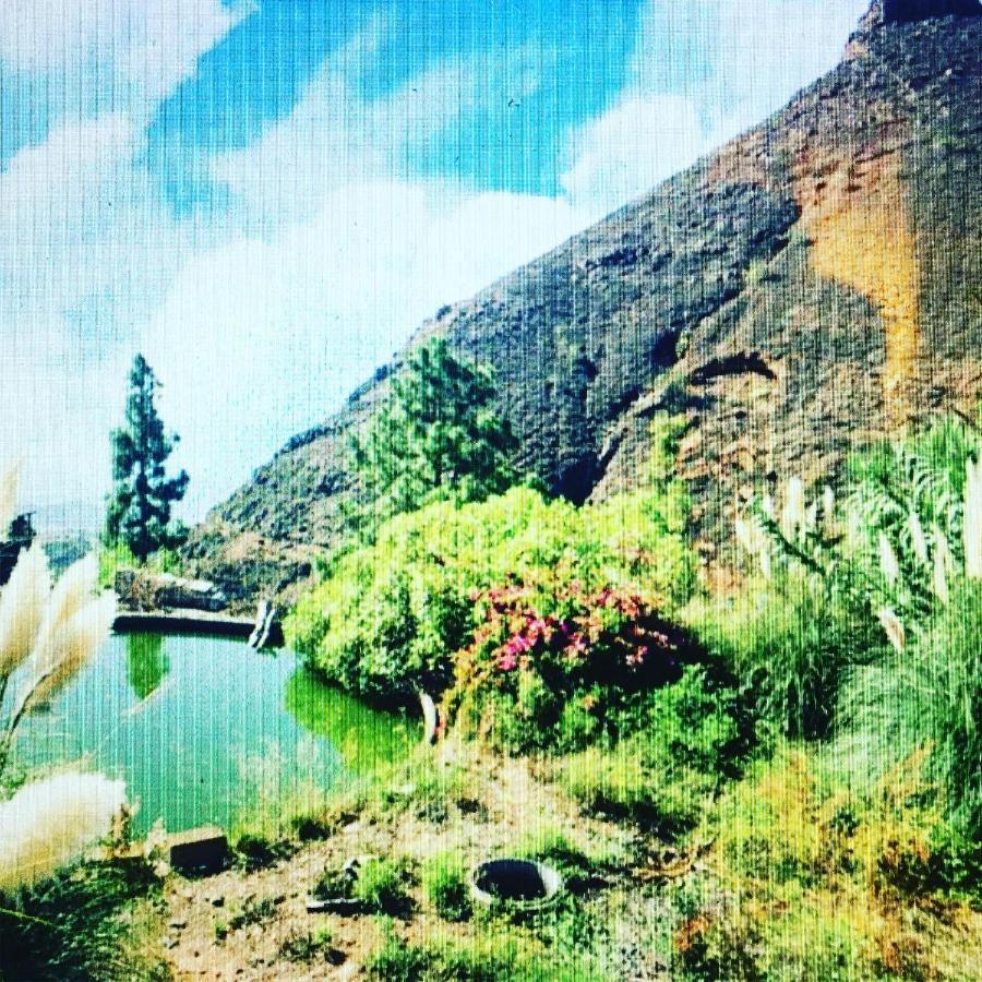 Tenerife Nature Retreat Ifonche Exterior foto